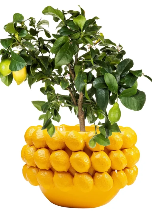 KARE Deko Übertopf Lemon Juice 22cm Clearance