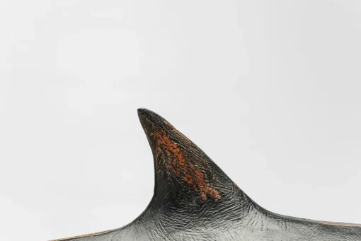KARE Deko Figur Shark Base 59cm Outlet