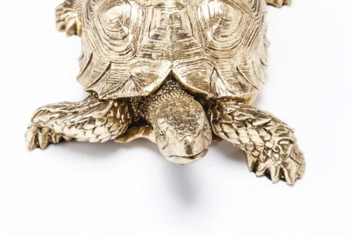 KARE Deko Figur Turtle Gold Klein Fashion