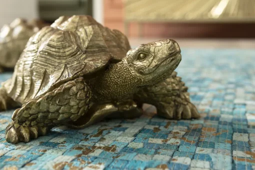 KARE Deko Figur Turtle Gold Klein Fashion