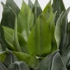 KARE Deko Pflanze Agave 120cm Hot