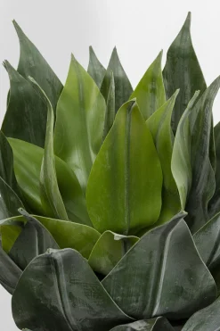 KARE Deko Pflanze Agave 120cm Hot