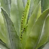 KARE Deko Pflanze Agave 40cm New