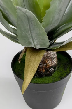 KARE Deko Pflanze Agave 40cm New