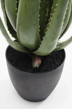 KARE Deko Pflanze Aloe 69cm Discount