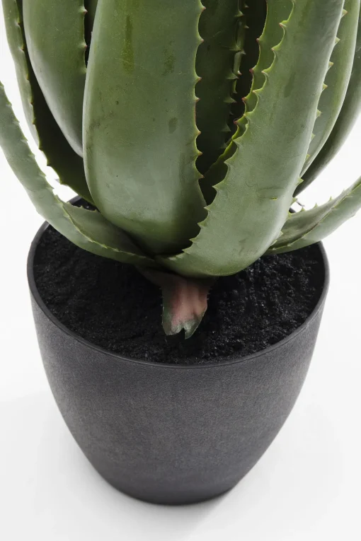 KARE Deko Pflanze Aloe 69cm Discount