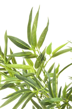 KARE Deko Pflanze Bamboo Tree 200cm Fashion