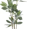 KARE Deko Pflanze Calathea 140cm Online