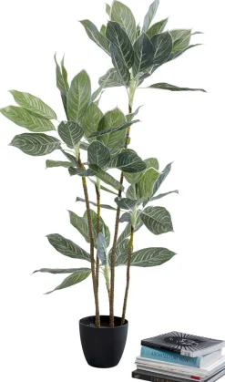 KARE Deko Pflanze Calathea 140cm Online