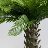 KARE Deko Pflanze Cycas 70cm Outlet