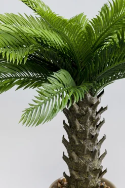 KARE Deko Pflanze Cycas 70cm Outlet