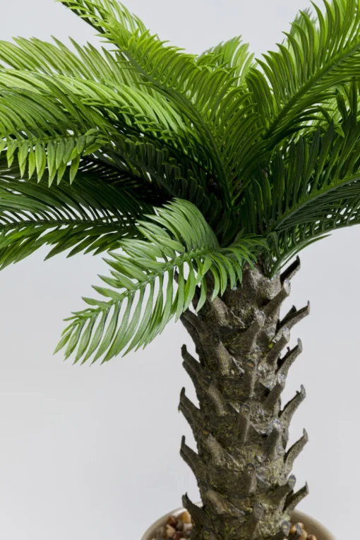 KARE Deko Pflanze Cycas 70cm Outlet