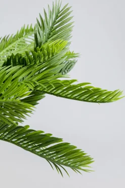 KARE Deko Pflanze Cycas 70cm Outlet