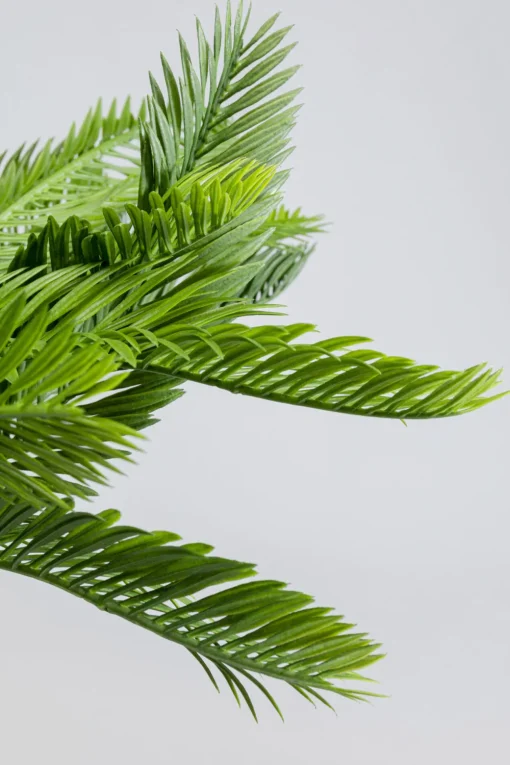 KARE Deko Pflanze Cycas 70cm Outlet