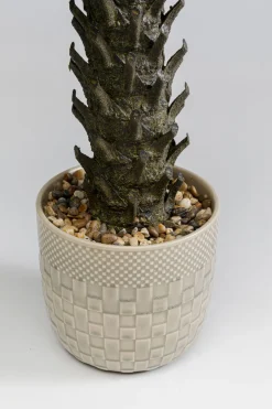KARE Deko Pflanze Cycas 70cm Outlet