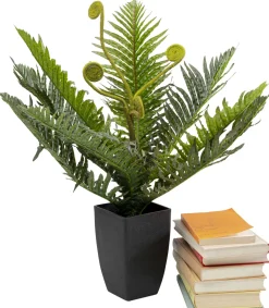 KARE Deko Pflanze Farn 55cm New