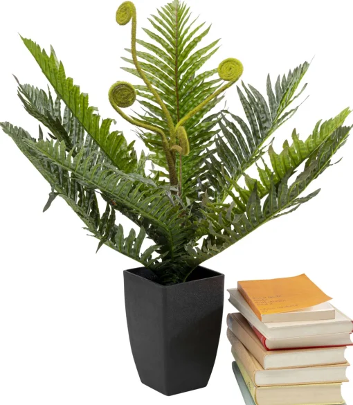 KARE Deko Pflanze Farn 55cm New