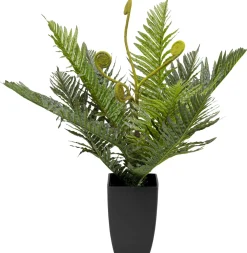 KARE Deko Pflanze Farn 55cm New