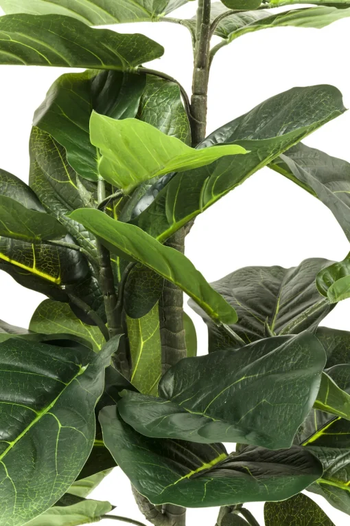 KARE Deko Pflanze Fiddle Leaf 120cm Fashion