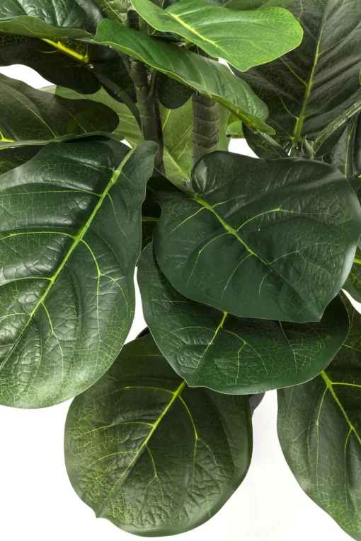 KARE Deko Pflanze Fiddle Leaf 120cm Fashion