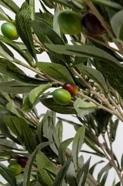KARE Deko Pflanze Olive Tree 120cm New