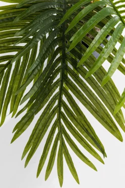 KARE Deko Pflanze Palm Tree 190cm Outlet