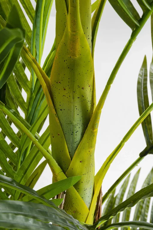 KARE Deko Pflanze Palm Tree 190cm Outlet