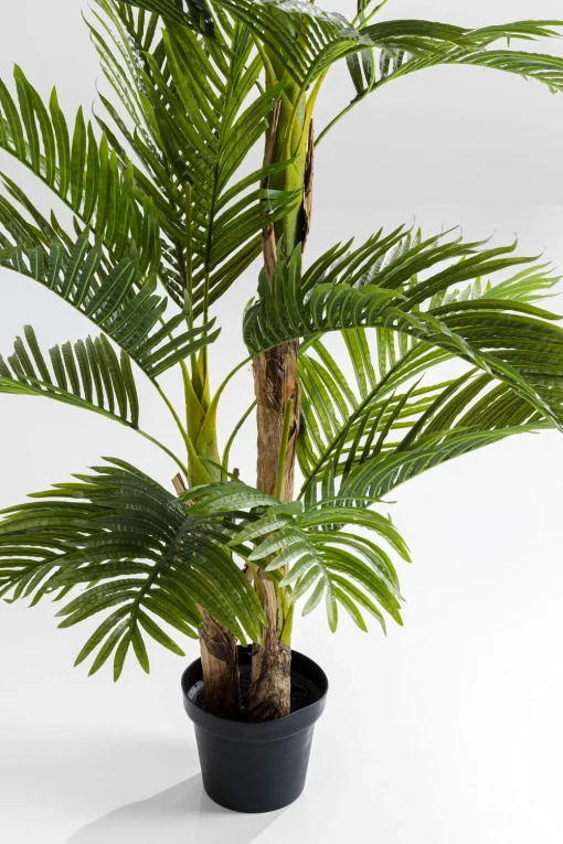 KARE Deko Pflanze Palm Tree 190cm Outlet