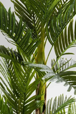 KARE Deko Pflanze Palm Tree 190cm Outlet