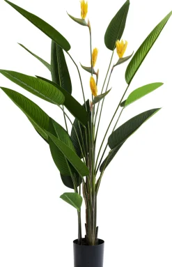 KARE Deko Pflanze Paradise Flowers 190cm Sale