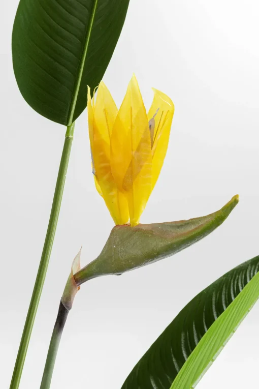 KARE Deko Pflanze Paradise Flowers 190cm Sale
