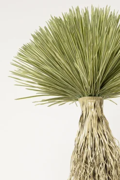 KARE Deko Pflanze Yucca Rostrata 240cm Outlet