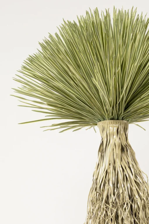 KARE Deko Pflanze Yucca Rostrata 240cm Outlet