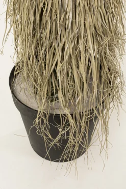 KARE Deko Pflanze Yucca Rostrata 240cm Outlet