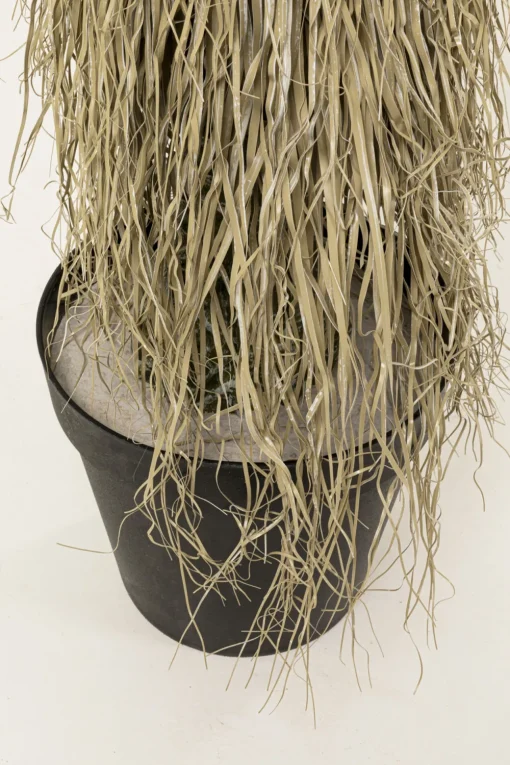 KARE Deko Pflanze Yucca Rostrata 240cm Outlet