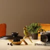 KARE Deko Schale Parrot Guard 10x21cm Outlet