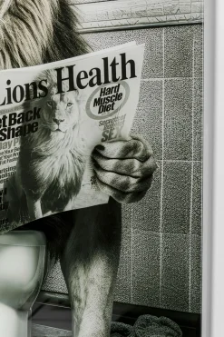 KARE Glasbild Bath Lion 60x80cm Clearance