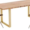 KARE Tisch Harmony Messing 160x80 New