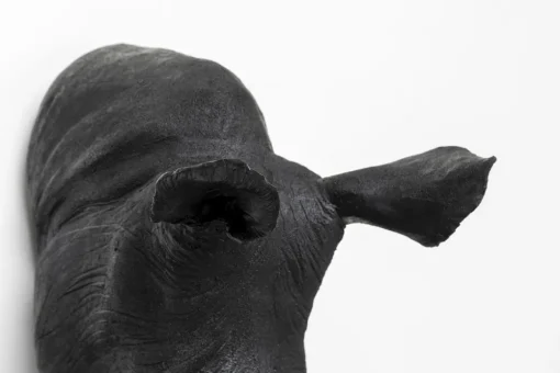 KARE Wandobjekt Rhino Head Antique Schwarz 22x43cm Online